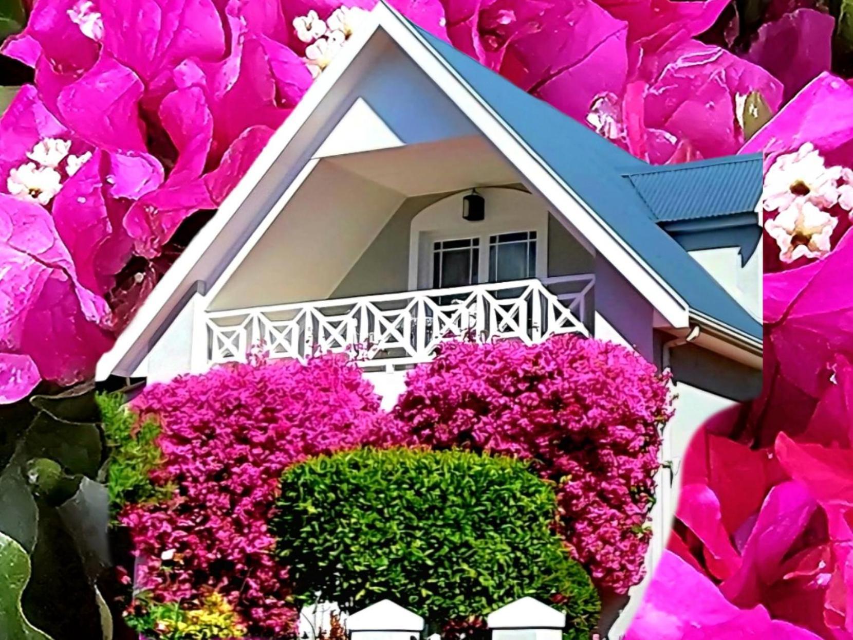 Fleur Du Soleil Luxury Guesthouse Franschhoek Εξωτερικό φωτογραφία