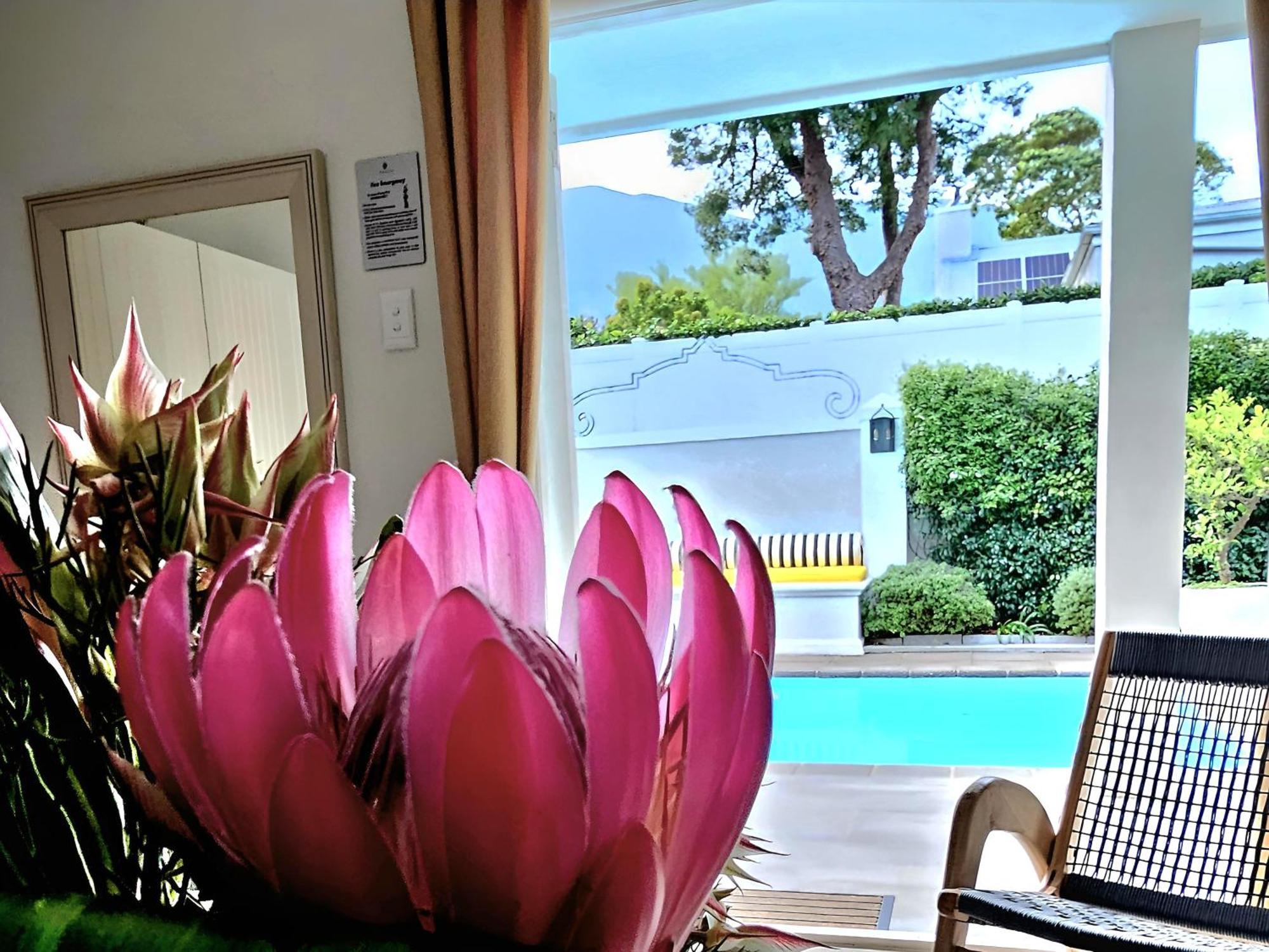 Fleur Du Soleil Luxury Guesthouse Franschhoek Εξωτερικό φωτογραφία