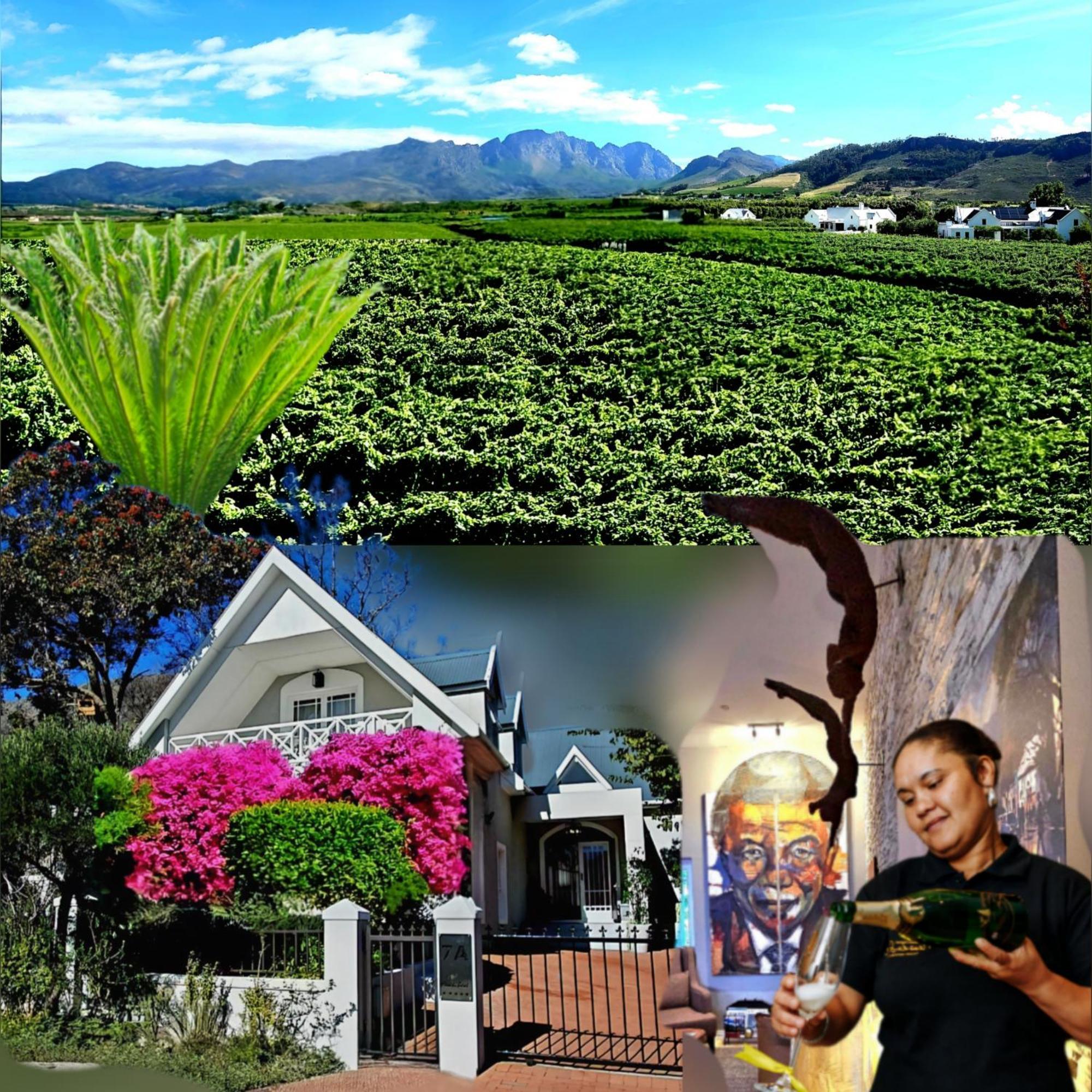 Fleur Du Soleil Luxury Guesthouse Franschhoek Εξωτερικό φωτογραφία
